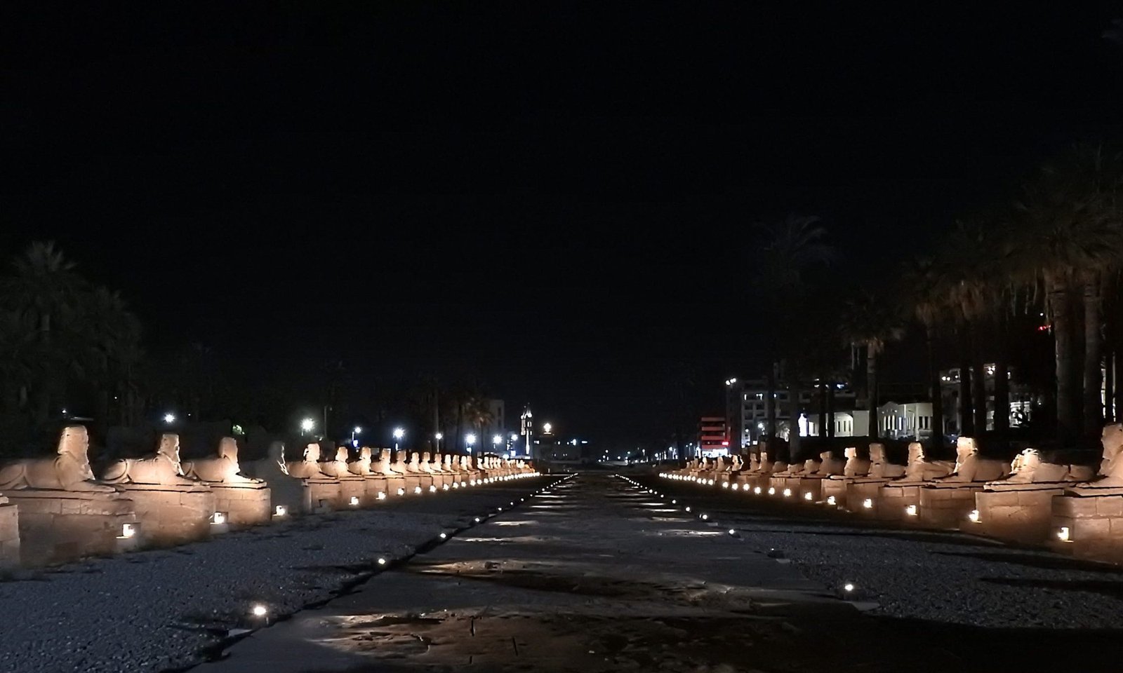 Louxor Allée Sphinx Nuit By Enzo Elgouna